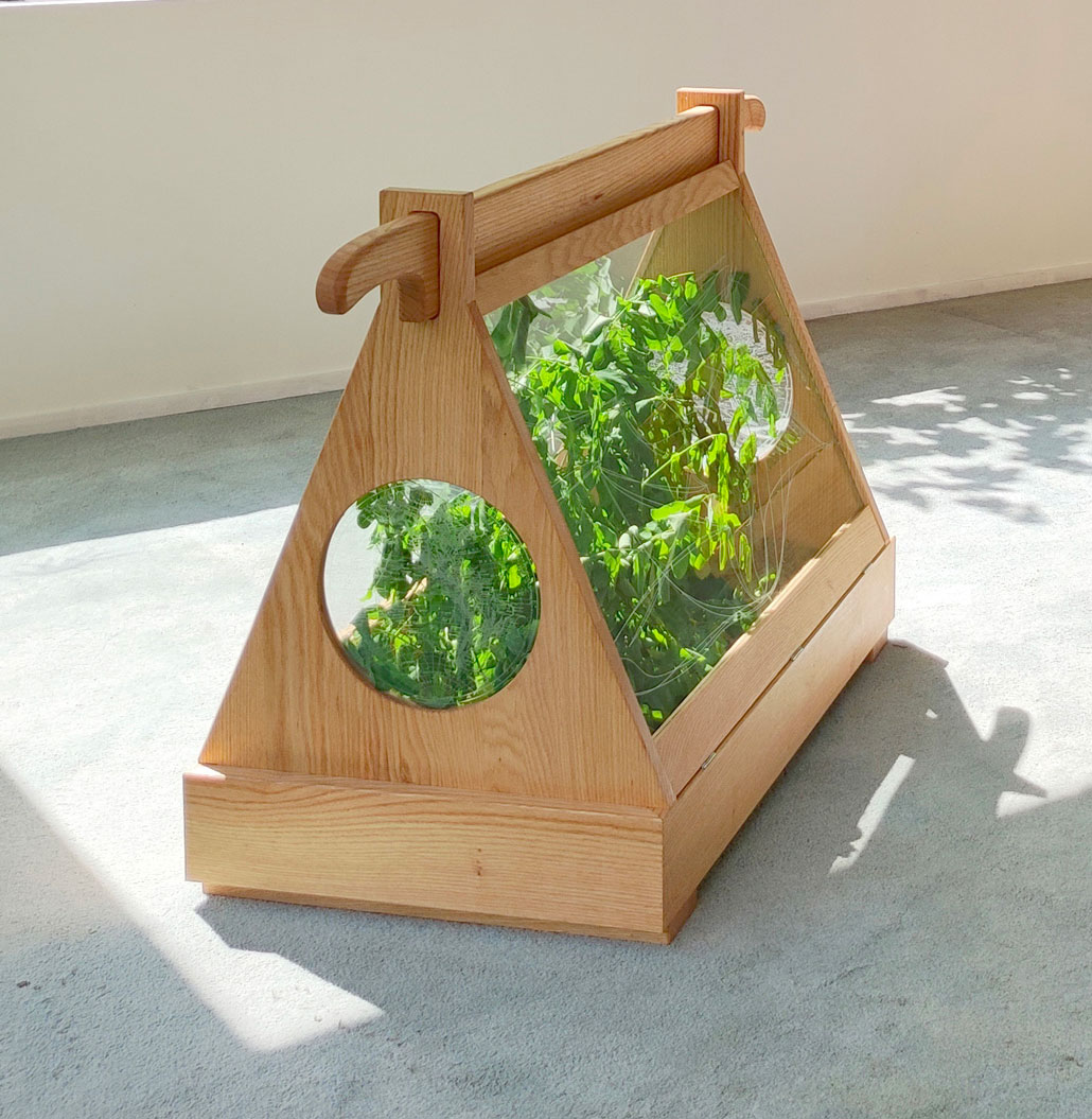 Miguel Sbastida, Wardian Case I, 2022