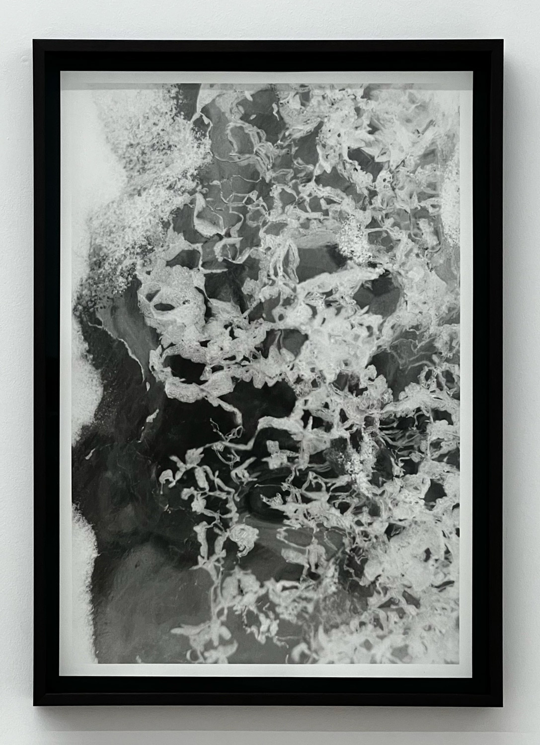 7853,5\'N 01220,3\'E (II), 2023