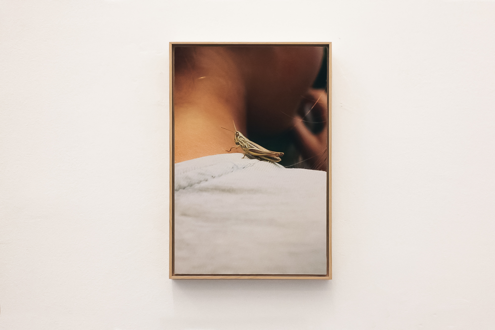 Louise, 2017